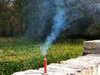 PETARDY HUKOWE WILD BULLDOG - 20 sztuk - TXP845 - Triplex